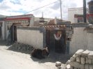 architecture of Tibet