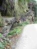 bouldering